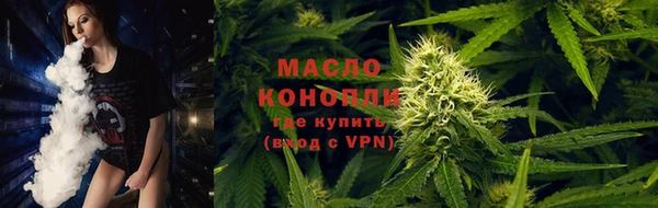 гашик Вяземский