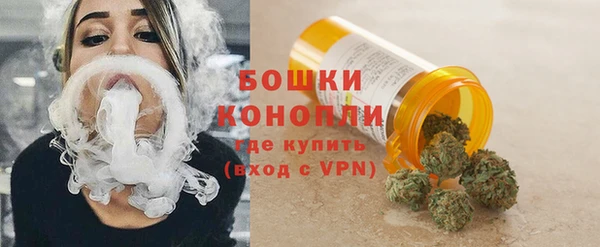 гашик Вяземский