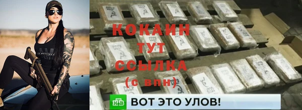 гидра Вязники