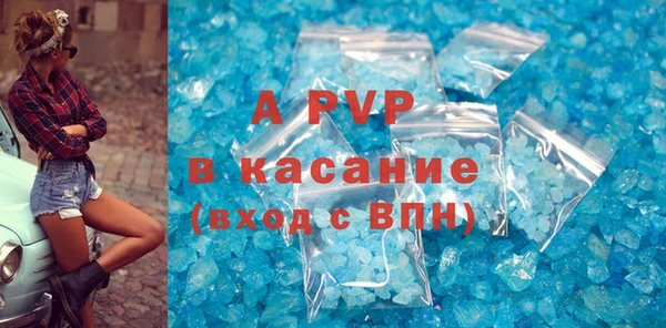 гашик Вяземский