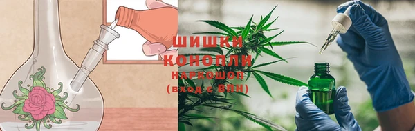 гидра Вязники