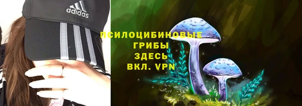 гашик Вяземский