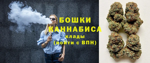 гашик Вяземский