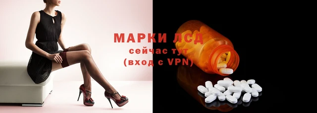 гидра Вязники