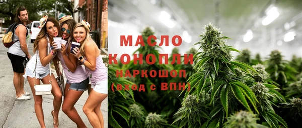 гашик Вяземский