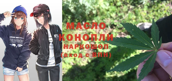 гашик Вяземский