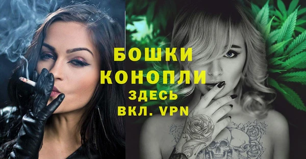 гидра Вязники