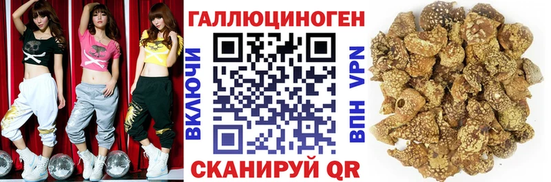 Псилоцибиновые грибы GOLDEN TEACHER Купить где Старая Русса