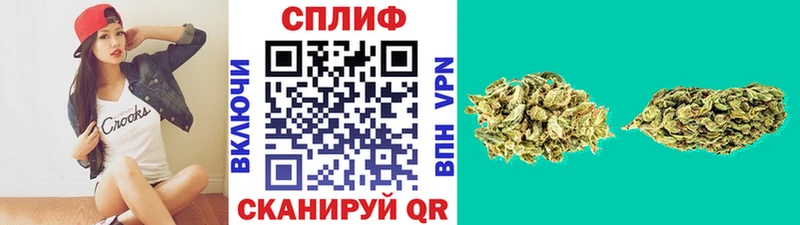 Купить  Старая Русса  Конопля AK-47 